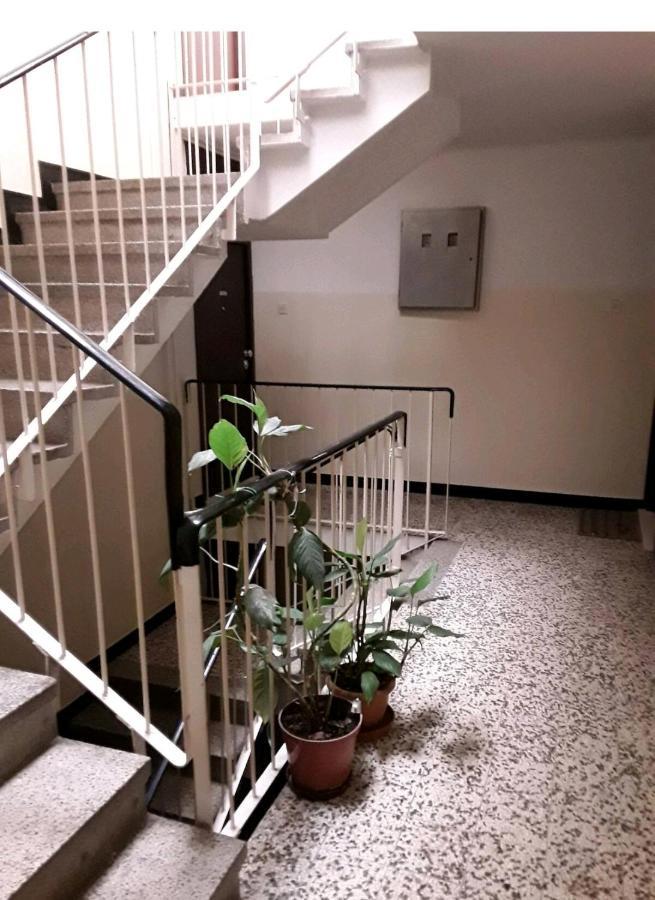 Apartment Vlatka Split Dış mekan fotoğraf