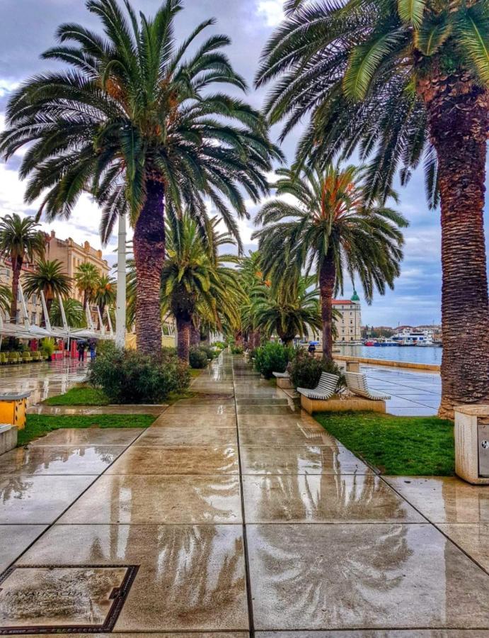 Apartment Vlatka Split Dış mekan fotoğraf